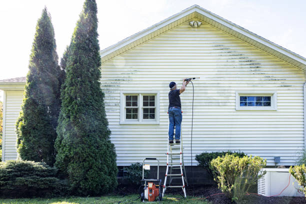 Best Driveway Pressure Washing  in Soh Jordan, UT